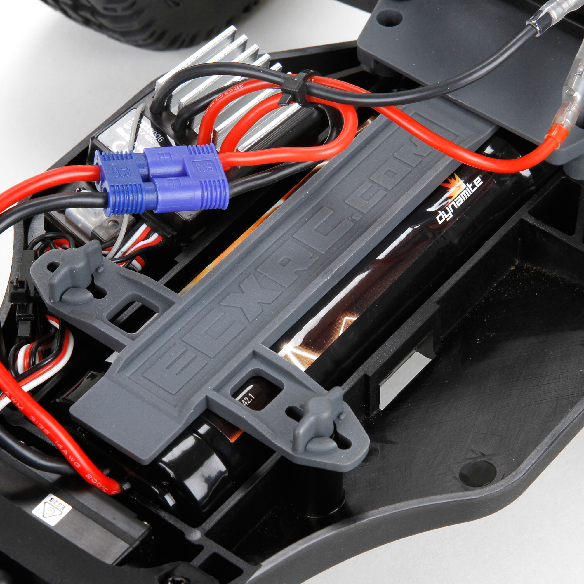 Amp mt rc deals