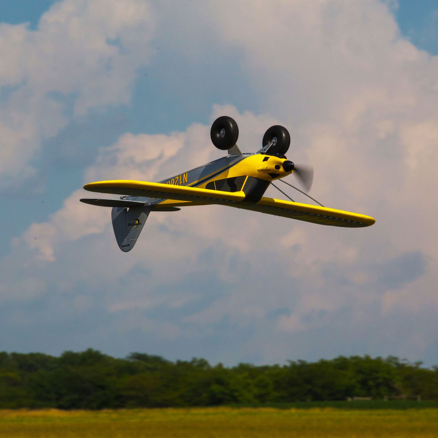 Carbon cub bnf on sale
