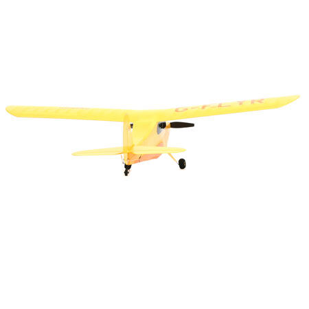 Champ rtf clearance